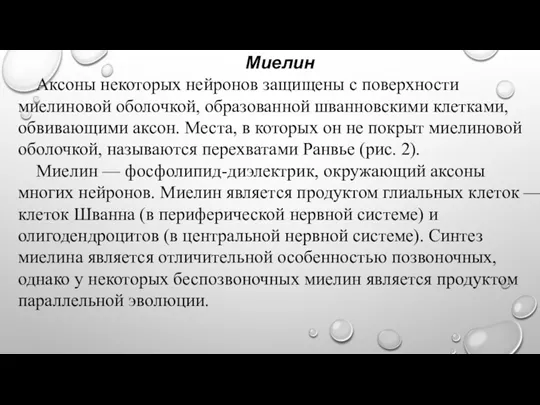 Миелин Аксоны некоторых нейронов защищены с поверхности миелиновой оболочкой, образованной