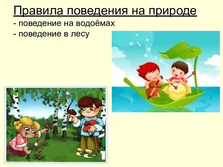 Правила поведения на природе - поведение на водоёмах - поведение в лесу