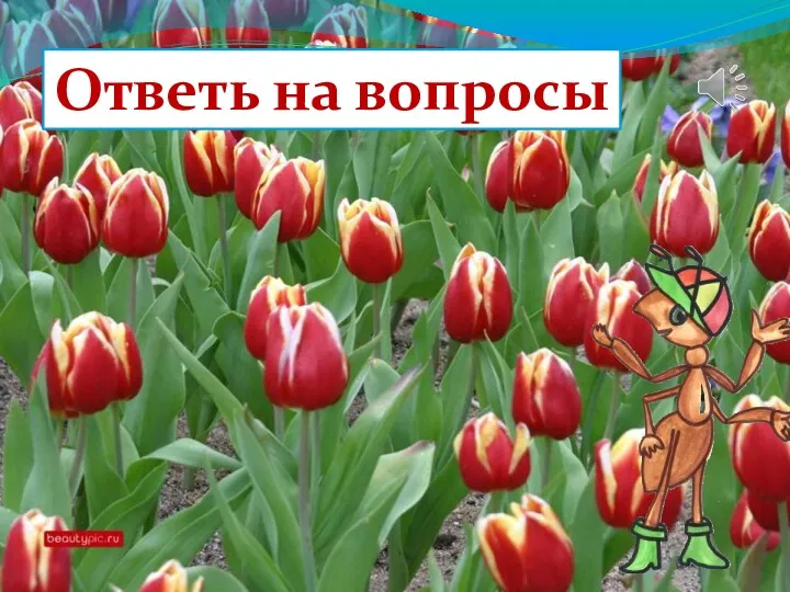 Ответь на вопросы