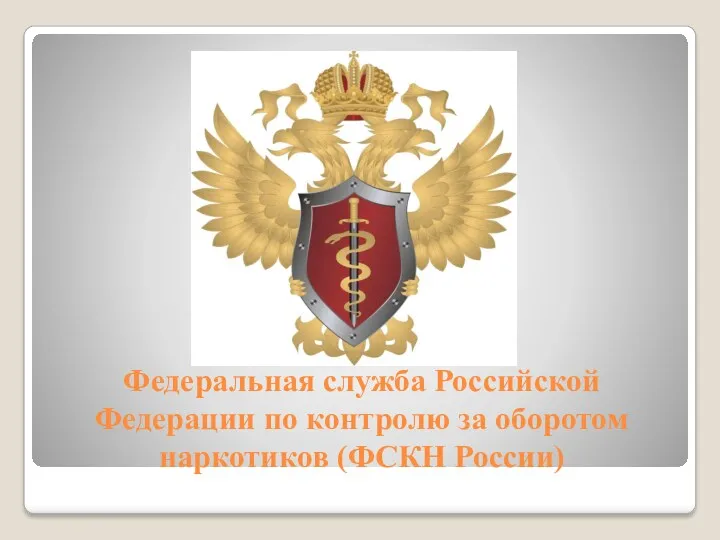 Федеральная служба Российской Федерации по контролю за оборотом наркотиков (ФСКН России)