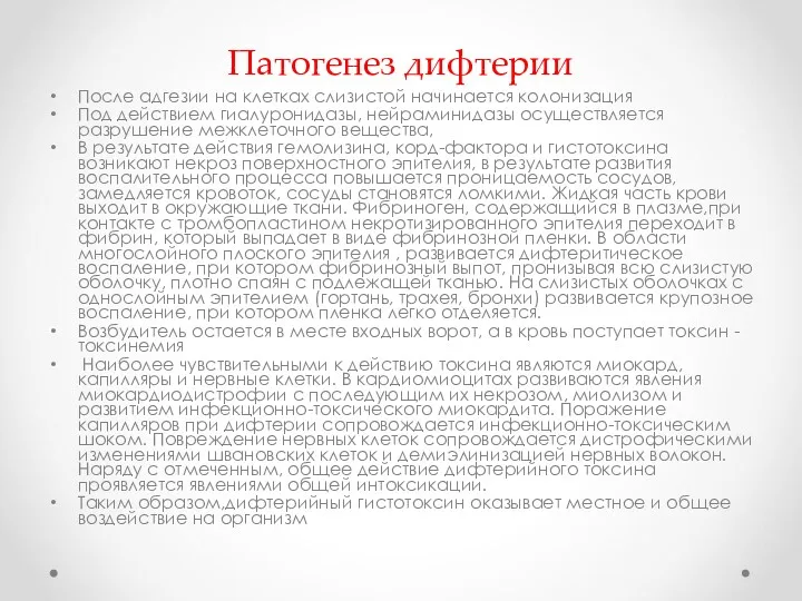 Патогенез дифтерии После адгезии на клетках слизистой начинается колонизация Под действием гиалуронидазы, нейраминидазы