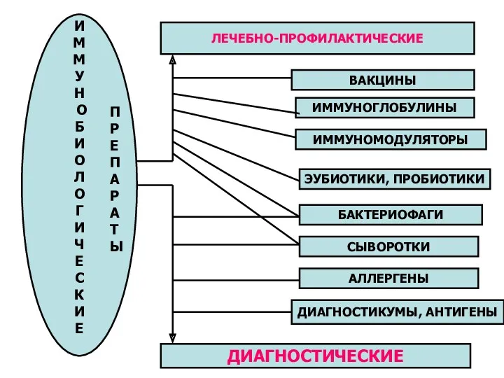 И М М У Н О Б И О Л