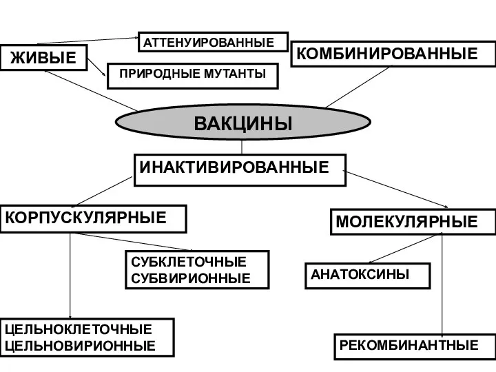 ИНАКТИВИРОВАННЫЕ КОРПУСКУЛЯРНЫЕ МОЛЕКУЛЯРНЫЕ ЦЕЛЬНОКЛЕТОЧНЫЕ ЦЕЛЬНОВИРИОННЫЕ СУБКЛЕТОЧНЫЕ СУБВИРИОННЫЕ АНАТОКСИНЫ РЕКОМБИНАНТНЫЕ ВАКЦИНЫ КОМБИНИРОВАННЫЕ