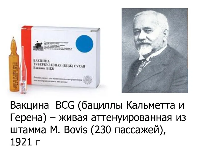 Вакцина ВCG (бациллы Кальметта и Герена) – живая аттенуированная из