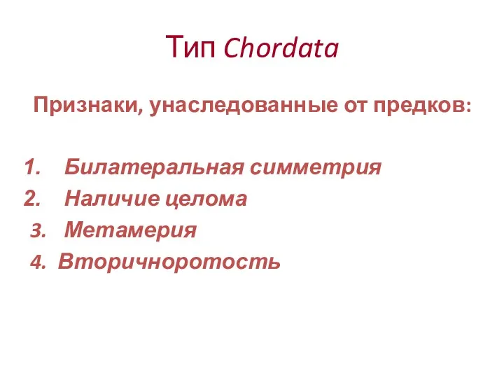 Тип Chordata Признаки, унаследованные от предков: Билатеральная симметрия Наличие целома 3. Метамерия 4. Вторичноротость