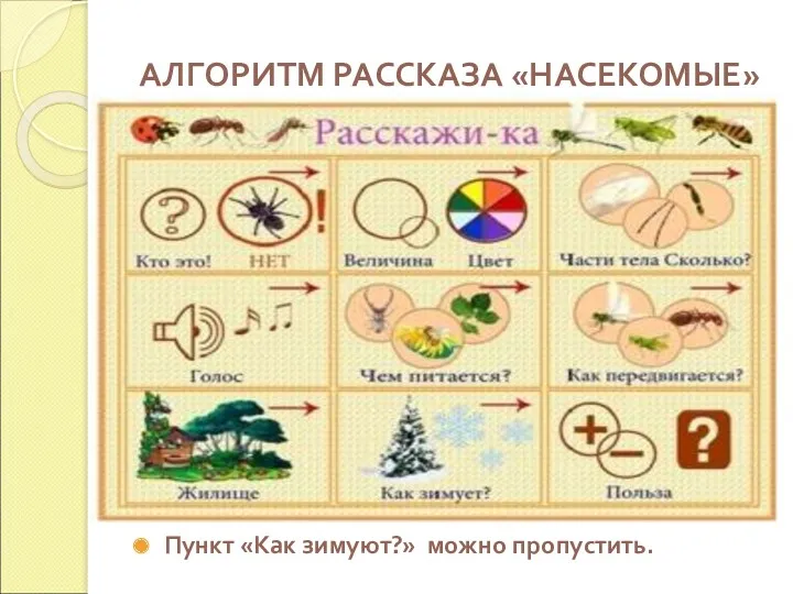 АЛГОРИТМ РАССКАЗА «НАСЕКОМЫЕ» Пункт «Как зимуют?» можно пропустить.