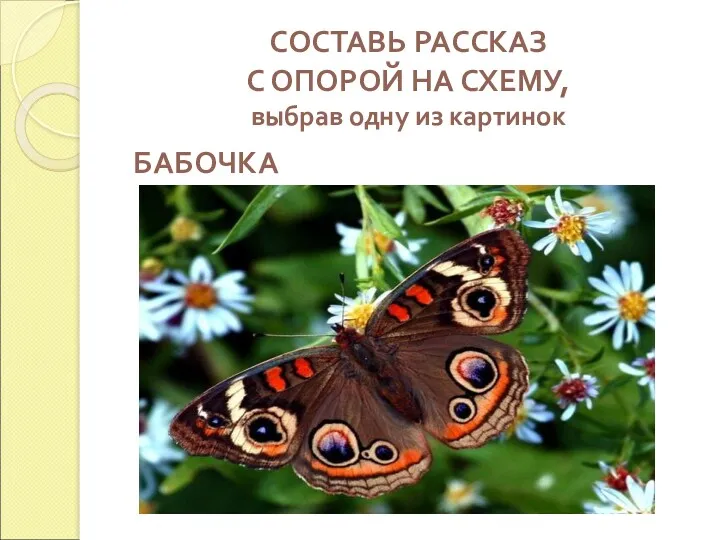 СОСТАВЬ РАССКАЗ С ОПОРОЙ НА СХЕМУ, выбрав одну из картинок БАБОЧКА