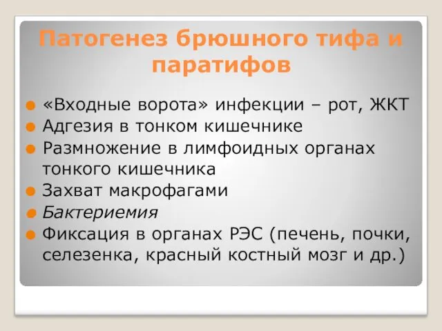 Патогенез брюшного тифа и паратифов «Входные ворота» инфекции – рот,