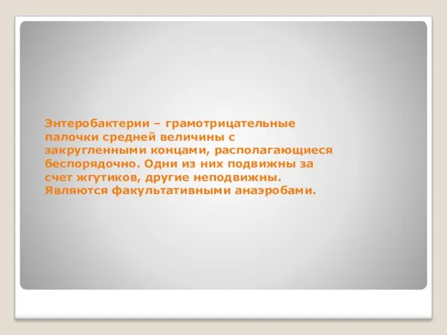 Энтеробактерии – грамотрицательные палочки средней величины с закругленными концами, располагающиеся