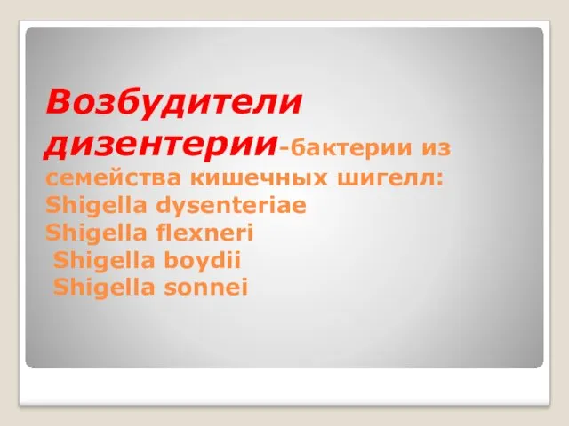 Возбудители дизентерии-бактерии из семейства кишечных шигелл: Shigella dysenteriae Shigella flexneri Shigella boydii Shigella sonnei