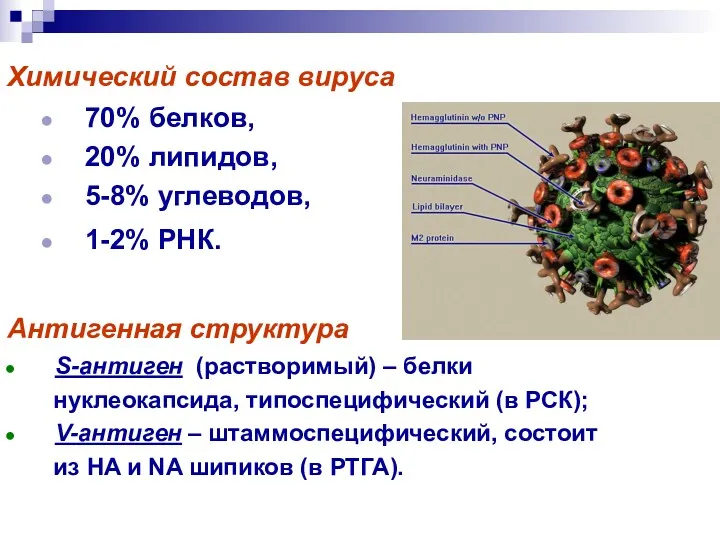 Химический состав вируса 70% белков, 20% липидов, 5-8% углеводов, 1-2% РНК. Антигенная структура