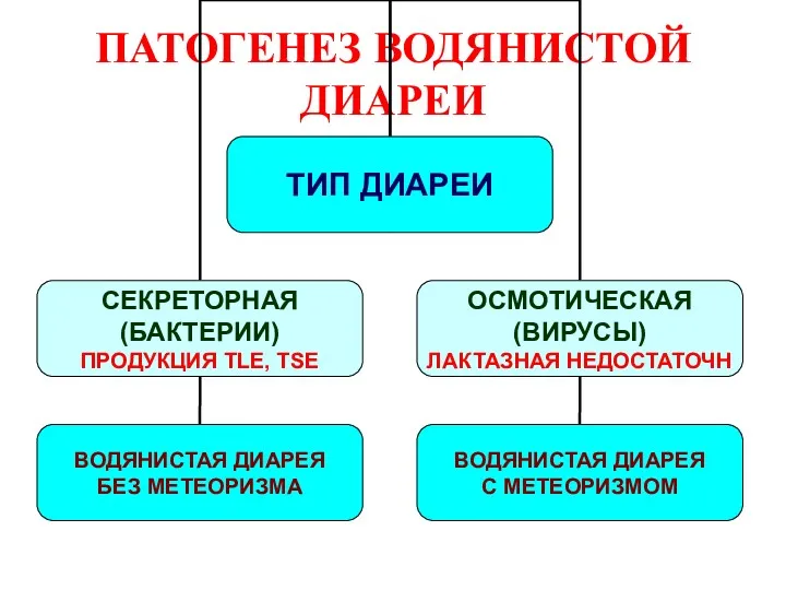 ПАТОГЕНЕЗ ВОДЯНИСТОЙ ДИАРЕИ