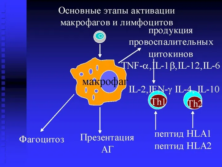 НОВОСИБИРСКИЙ ГОСУДАРСТВЕННЫЙ МЕДИЦИНСКИЙ УНИВЕРСИТЕТ кафедра детских инфекционных больных