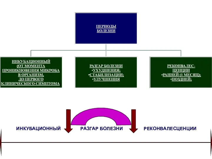 ИНКУБАЦИОННЫЙ РАЗГАР БОЛЕЗНИ РЕКОНВАЛЕСЦЕНЦИИ