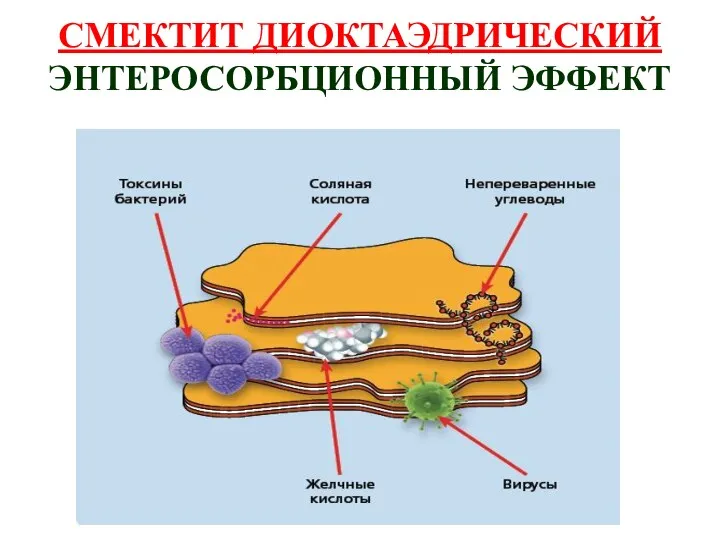 СМЕКТИТ ДИОКТАЭДРИЧЕСКИЙ ЭНТЕРОСОРБЦИОННЫЙ ЭФФЕКТ