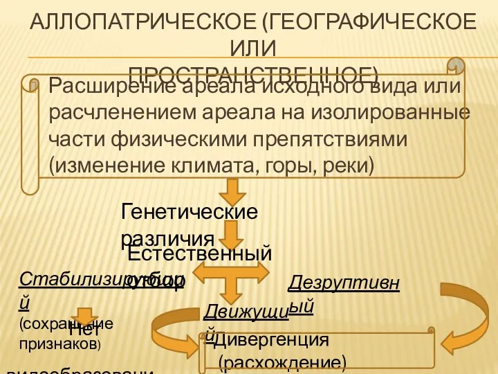 АЛЛОПАТРИЧЕСКОЕ (ГЕОГРАФИЧЕСКОЕ ИЛИ ПРОСТРАНСТВЕННОЕ) Расширение ареала исходного вида или расчленением