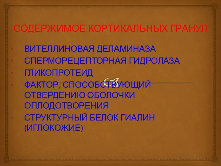 СОДЕРЖИМОЕ КОРТИКАЛЬНЫХ ГРАНУЛ ВИТЕЛЛИНОВАЯ ДЕЛАМИНАЗА СПЕРМОРЕЦЕПТОРНАЯ ГИДРОЛАЗА ГЛИКОПРОТЕИД ФАКТОР, СПОСОБСТВУЮЩИЙ