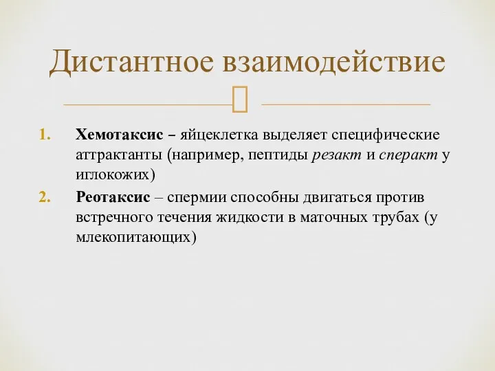 Хемотаксис – яйцеклетка выделяет специфические аттрактанты (например, пептиды резакт и