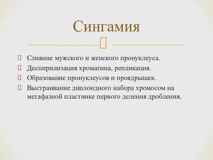 Слияние мужского и женского пронуклеуса. Деспирилизация хроматина, репликация. Образование пронуклеусов