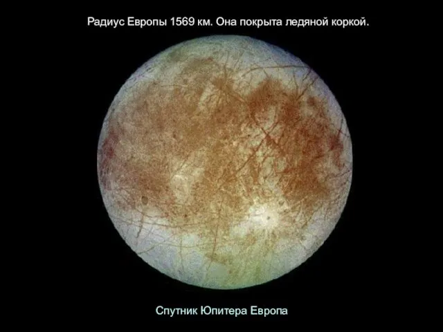 Радиус Европы 1569 км. Она покрыта ледяной коркой. Спутник Юпитера Европа