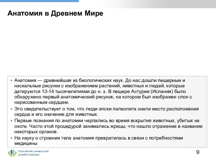 Анатомия в Древнем Мире Анатомия — древнейшая из биологических наук.