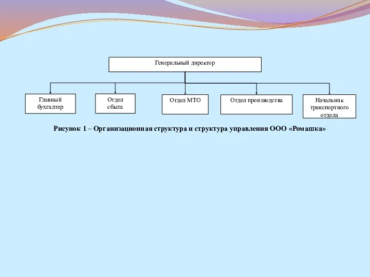 Рисунок 1 – Организационная структура и структура управления ООО «Ромашка»