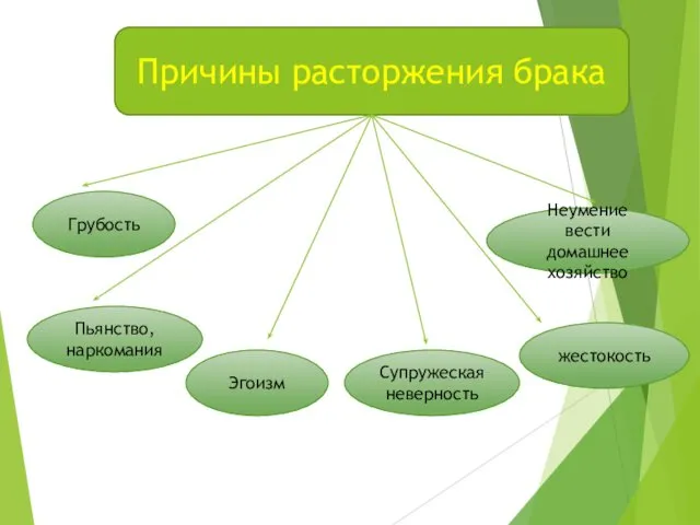 Причины расторжения брака Грубость Эгоизм Супружеская неверность жестокость Неумение вести домашнее хозяйство Пьянство, наркомания