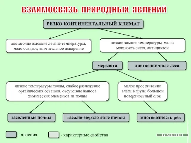 В МЕНЮ ВЗАИМОСВЯЗЬ ПРИРОДНЫХ ЯВЛЕНИЙ малое просачивание влаги в грунт, большой поверхностный сток