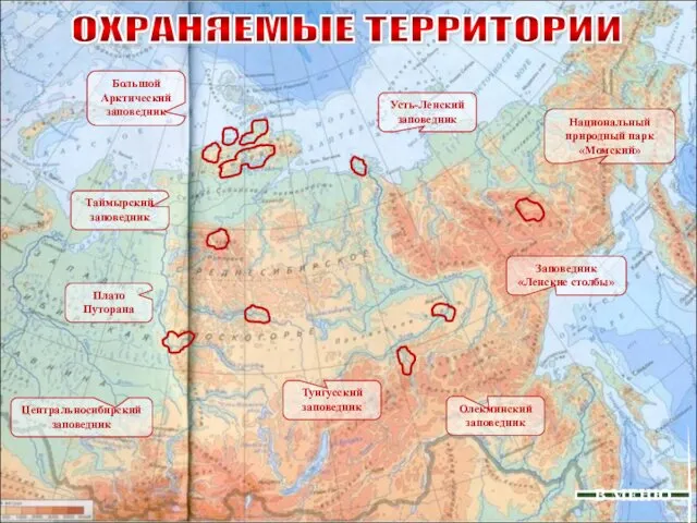 ОХРАНЯЕМЫЕ ТЕРРИТОРИИ В МЕНЮ Большой Арктический заповедник Таймырский заповедник Олекминский заповедник Усть-Ленский заповедник