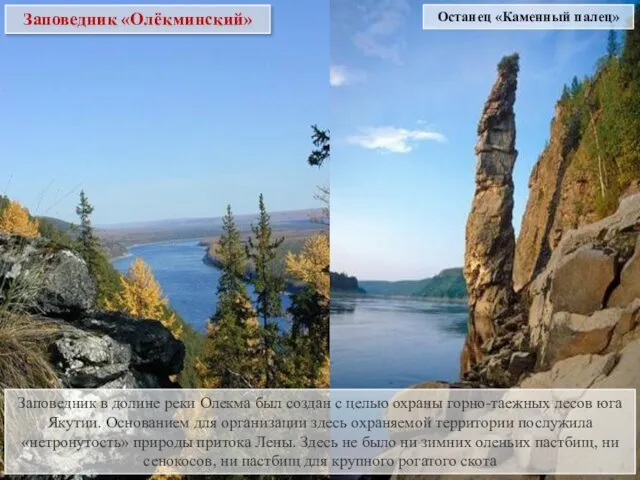 Заповедник «Олёкминский» Заповедник в долине реки Олекма был создан с целью охраны горно-таежных