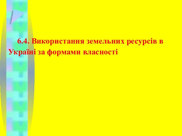 6.4. Використання земельних ресурсів в Україні за формами власності