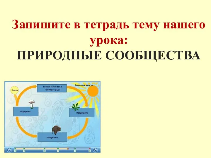 Запишите в тетрадь тему нашего урока: ПРИРОДНЫЕ СООБЩЕСТВА