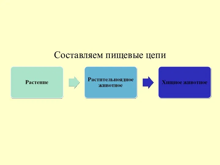 Составляем пищевые цепи