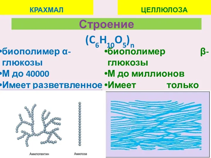 Строение КРАХМАЛ ЦЕЛЛЮЛОЗА (C6H10O5)n биополимер α-глюкозы М до 40000 Имеет