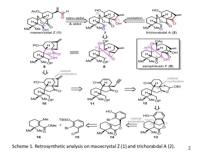 Scheme 1. Retrosynthetic analysis on maoecrystal Z (1) and trichorabdal A (2).