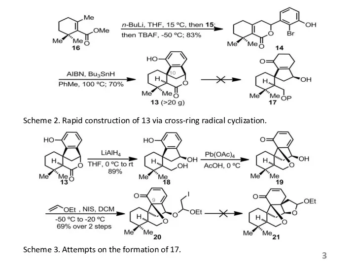 Scheme 2. Rapid construction of 13 via cross-ring radical cyclization.