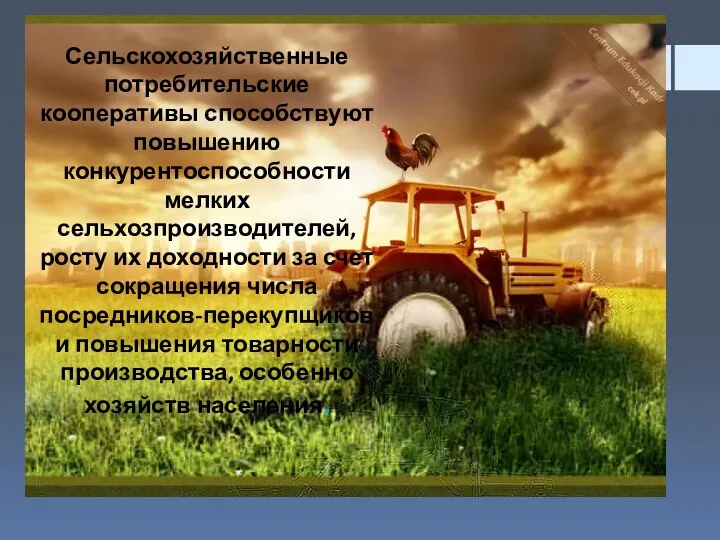 Сельскохозяйственные потребительские кооперативы способствуют повышению конкурентоспособности мелких сельхозпроизводителей, росту их