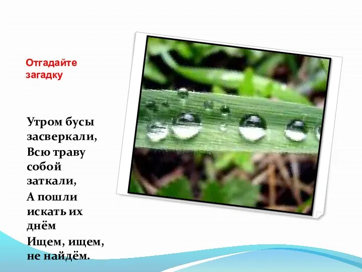 Отгадайте загадку Утром бусы засверкали, Всю траву собой заткали, А