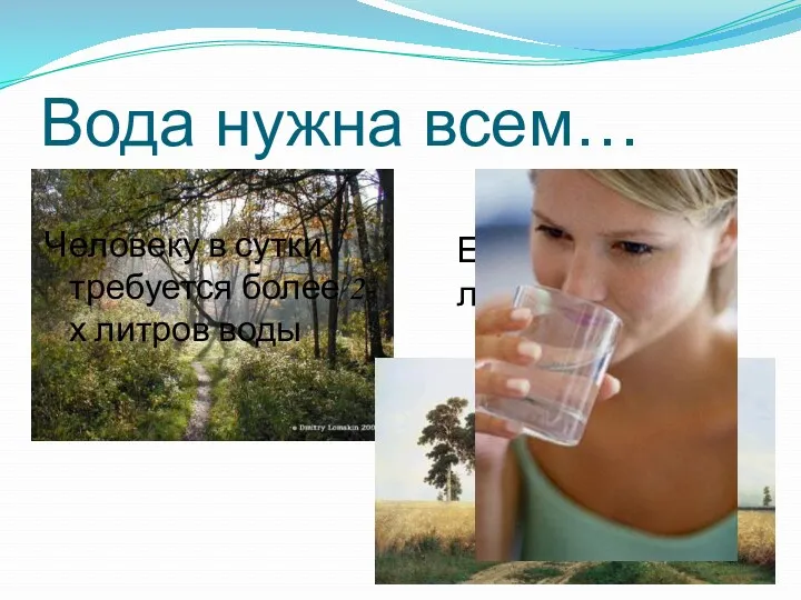 Вода нужна всем… Ее пьют поля и леса Человеку в сутки требуется более 2-х литров воды