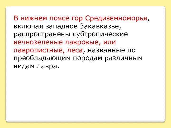 В нижнем поясе гор Средиземноморья, включая западное Закавказье, распространены субтропические вечнозеленые лавровые, или