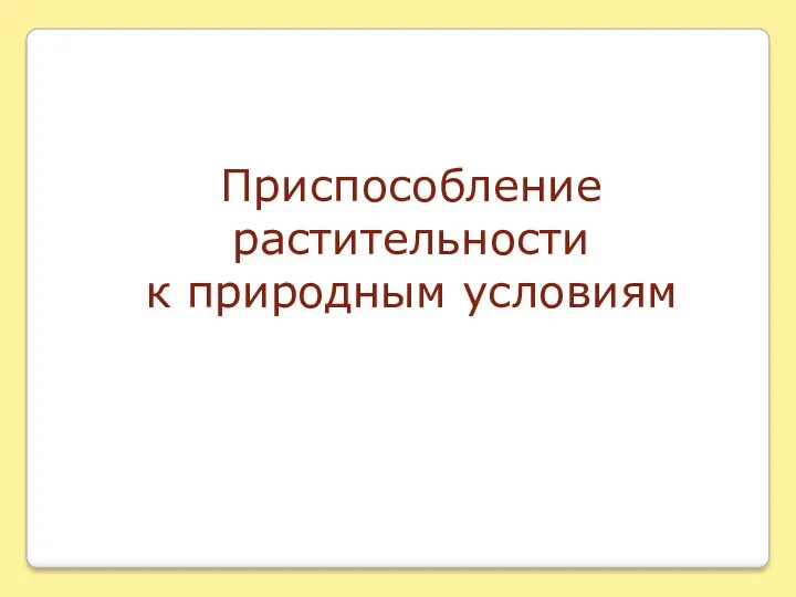 Приспособление растительности к природным условиям