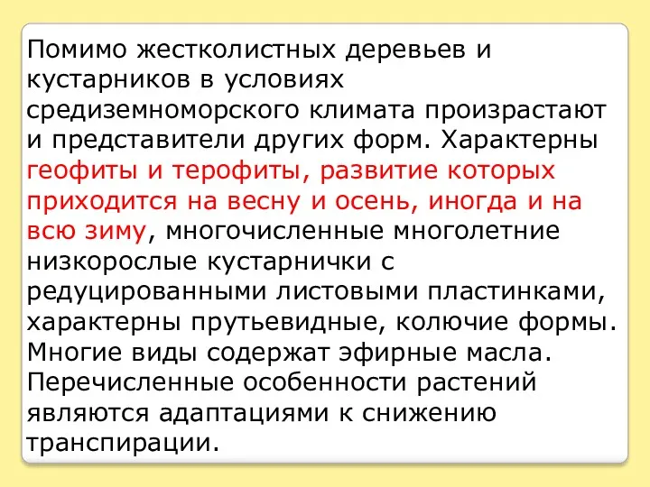 Помимо жестколистных деревьев и кустарников в условиях средиземноморского климата произрастают и представители других