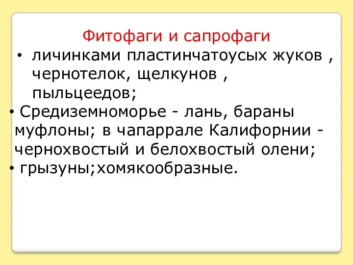 Фитофаги и сапрофаги личинками пластинчатоусых жуков , чернотелок, щелкунов , пыльцеедов; Средиземноморье -