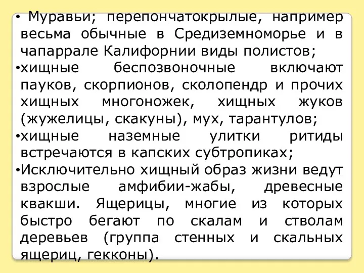 Муравьи; перепончатокрылые, например весьма обычные в Средиземноморье и в чапаррале