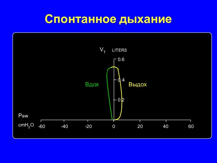 Спонтанное дыхание Вдох Выдох 0 20 40 60 -20 -40