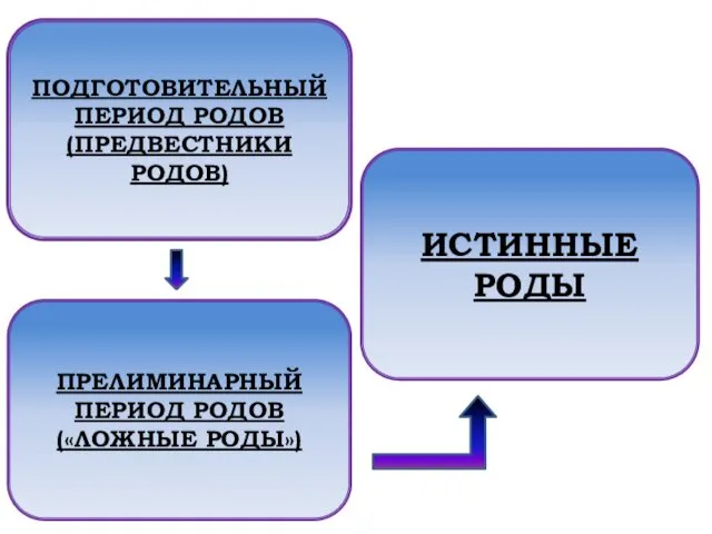 ПОДГОТОВИТЕЛЬНЫЙ ПЕРИОД РОДОВ (ПРЕДВЕСТНИКИ РОДОВ) ПРЕЛИМИНАРНЫЙ ПЕРИОД РОДОВ («ЛОЖНЫЕ РОДЫ») ИСТИННЫЕ РОДЫ