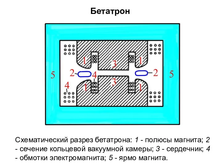 Схематический разрез бетатрона: 1 - полюсы магнита; 2 - сечение кольцевой вакуумной камеры;