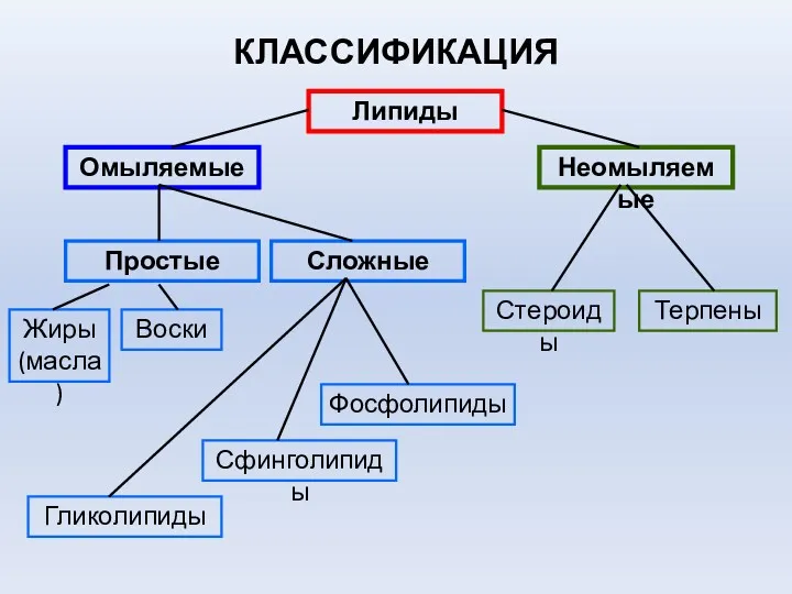 КЛАССИФИКАЦИЯ Липиды Омыляемые Неомыляемые Простые Сложные Жиры (масла) Воски Стероиды Фосфолипиды Гликолипиды Сфинголипиды Терпены