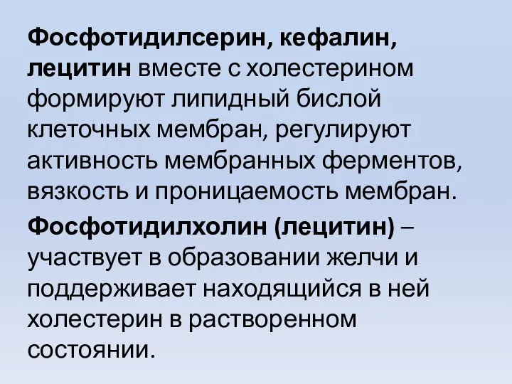 Фосфотидилсерин, кефалин, лецитин вместе с холестерином формируют липидный бислой клеточных