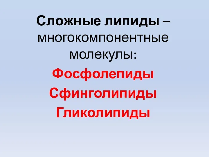 Сложные липиды – многокомпонентные молекулы: Фосфолепиды Сфинголипиды Гликолипиды